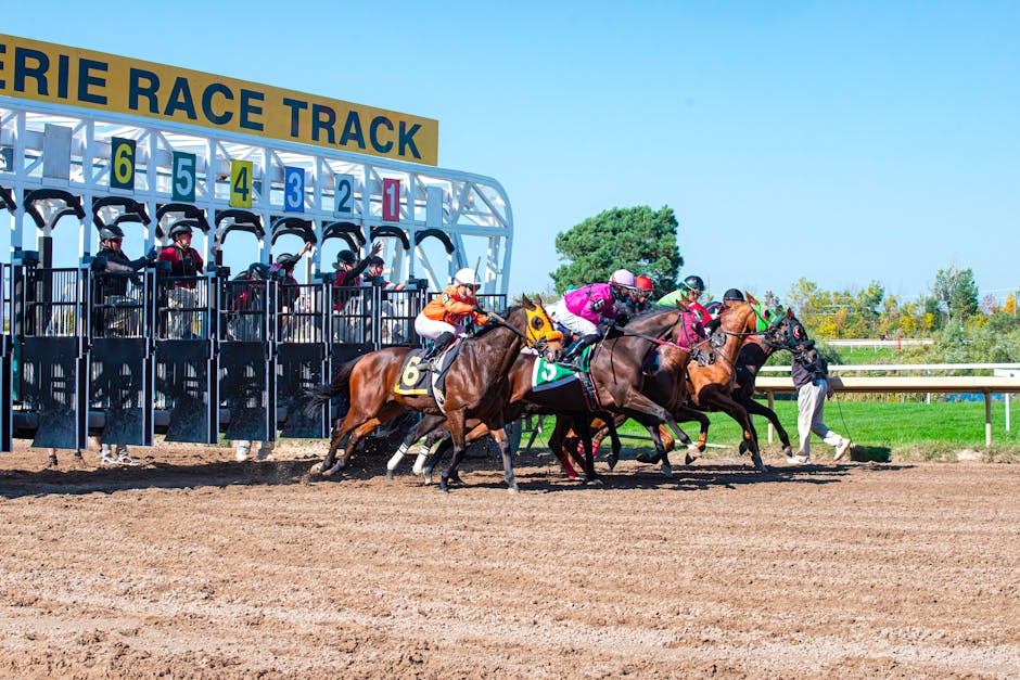 Horse Racing Odds Explained: A Clear UK Guide for New Punters