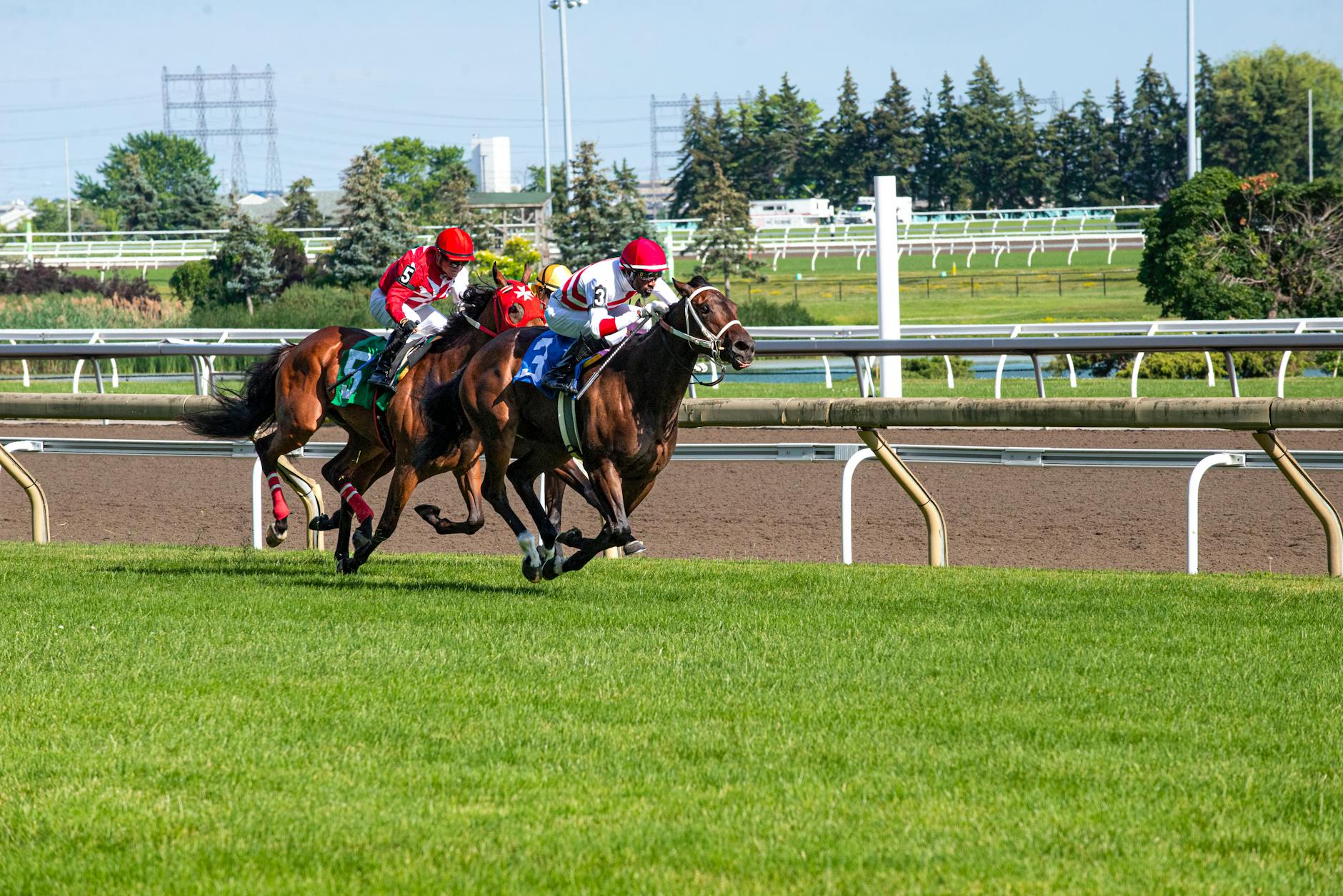 Paddy Power Review (2026): Markets, Offers, and What UK Punters Should Know