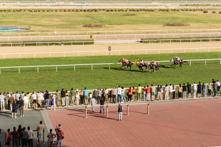 Royal Ascot Betting Guide: Markets, Concessions, and How to Read the Week