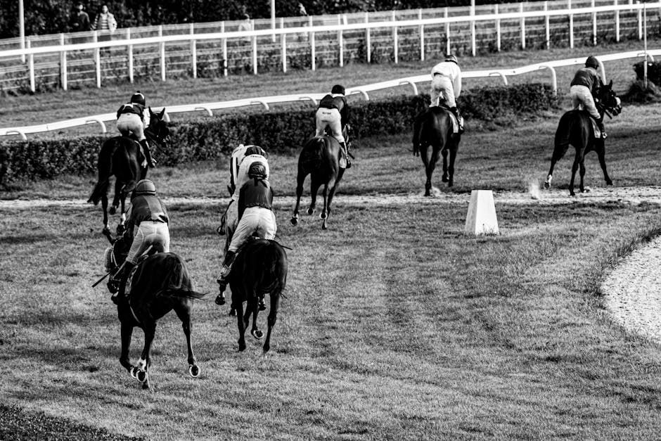 William Hill Review (2026): Heritage, Markets, and How the Product Holds Up